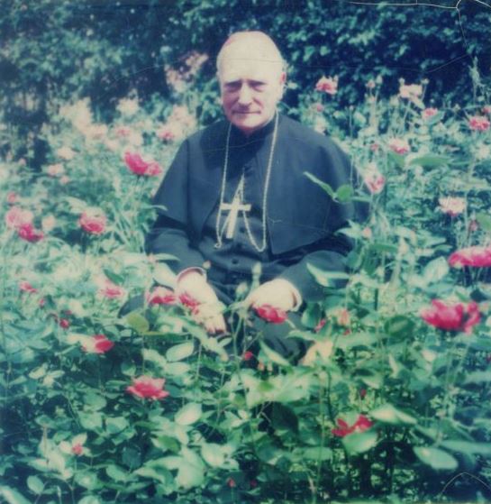Márton Áron rózsák között