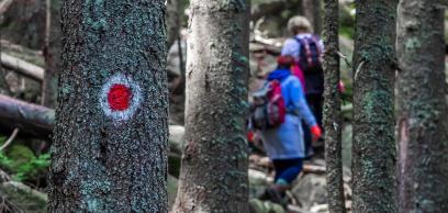 Megtalálni Istent, másokat is odavezetni hozzá